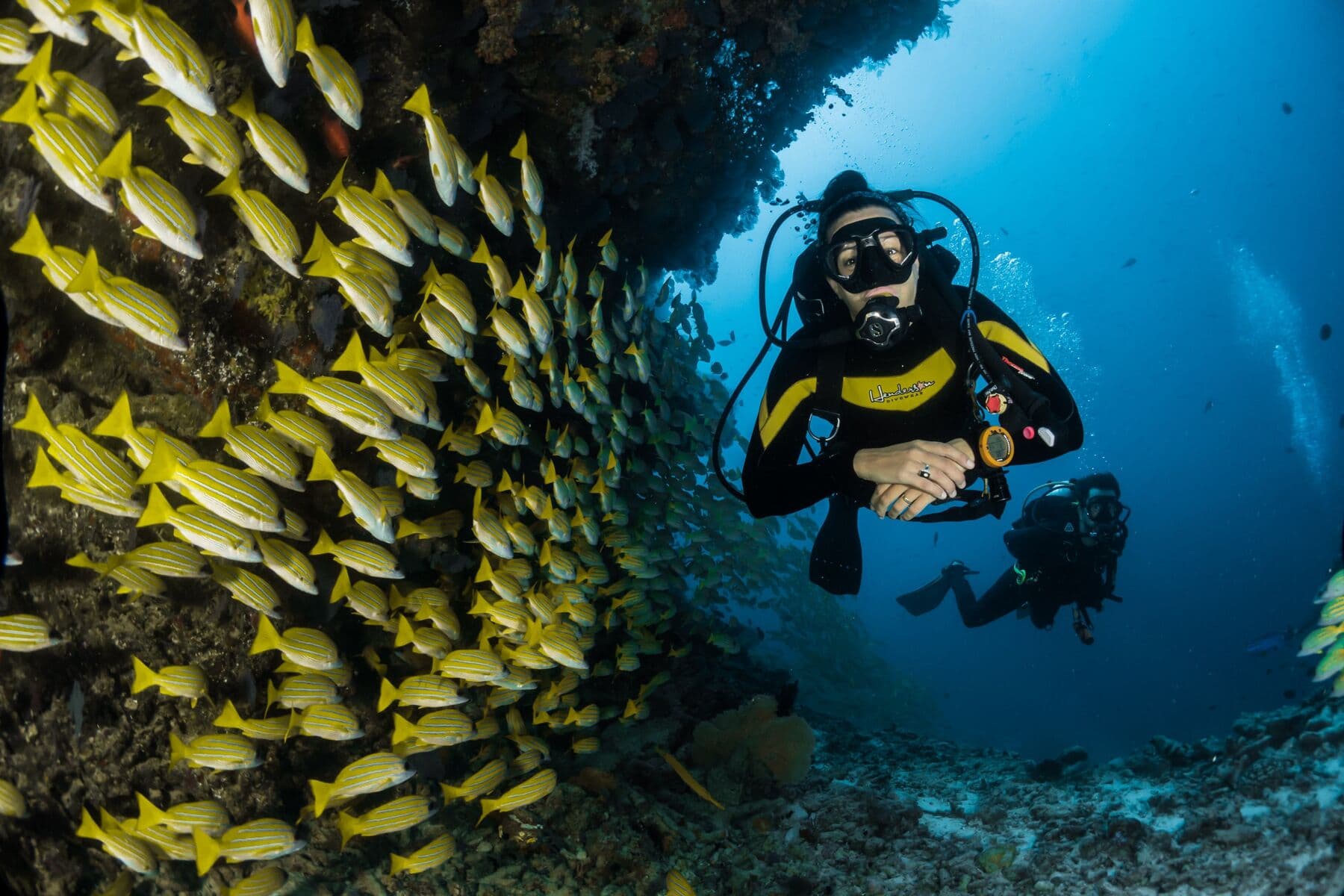A scuba diver beside a reef wall next to a dense school of yellow striped fish, with a second diver behind