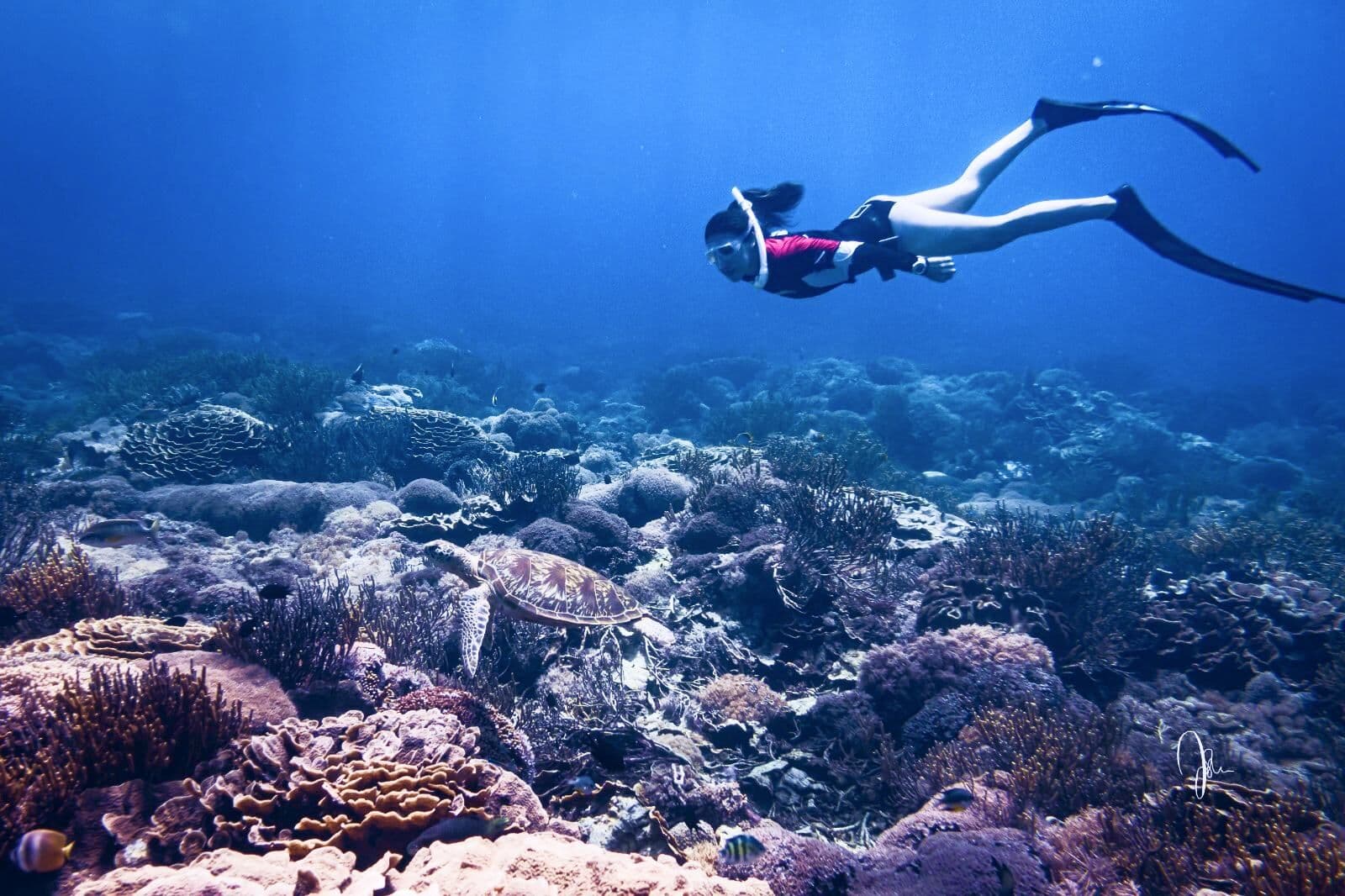 A freediver in a mask and long fins gliding above a coral reef with a turtle below