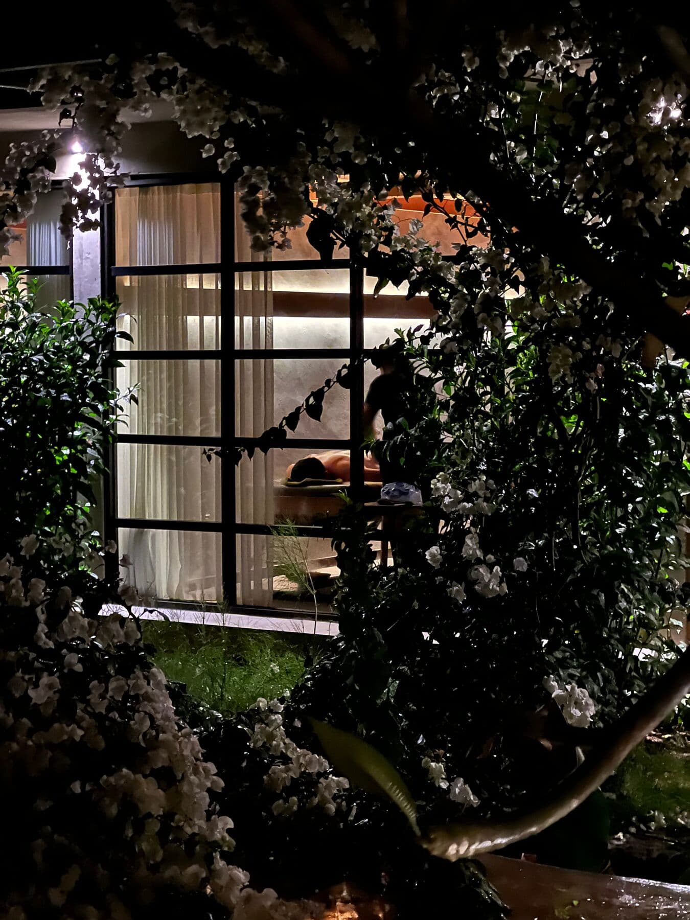 A lit treatment room seen at night through a window framed by flowering plants