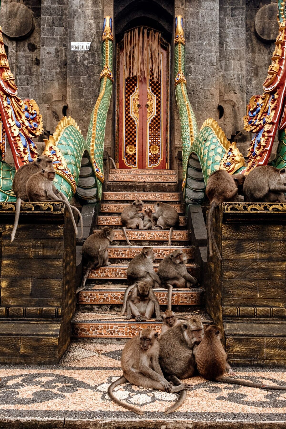 Monkeys sitting on the steps of an ornate carved temple gateway