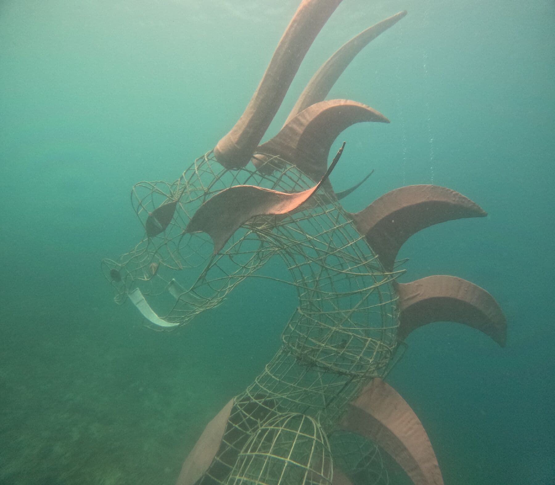 A wire dragon sculpture with curved spines on the seabed in green water