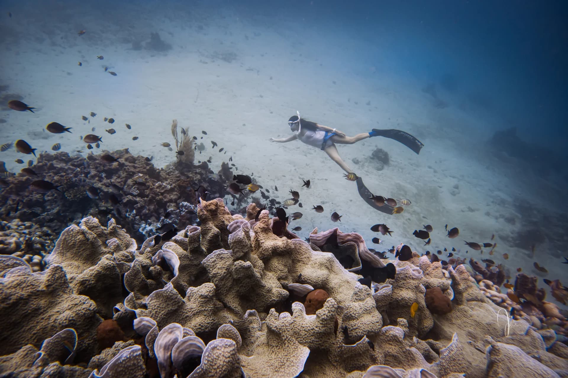 Scuba diving and underwater exploration at Sumberkima Hill