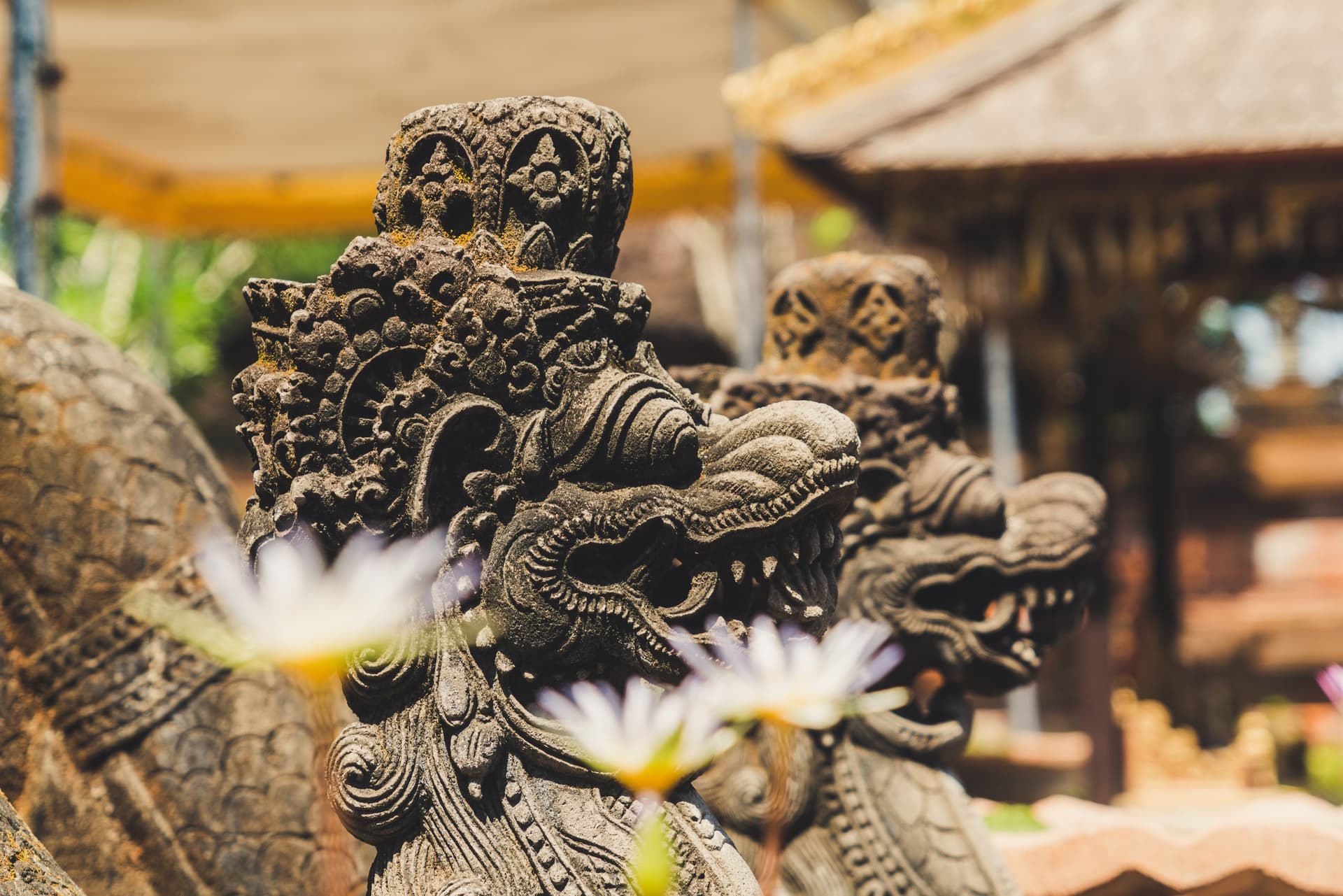 Local guide leading temple and cultural experience