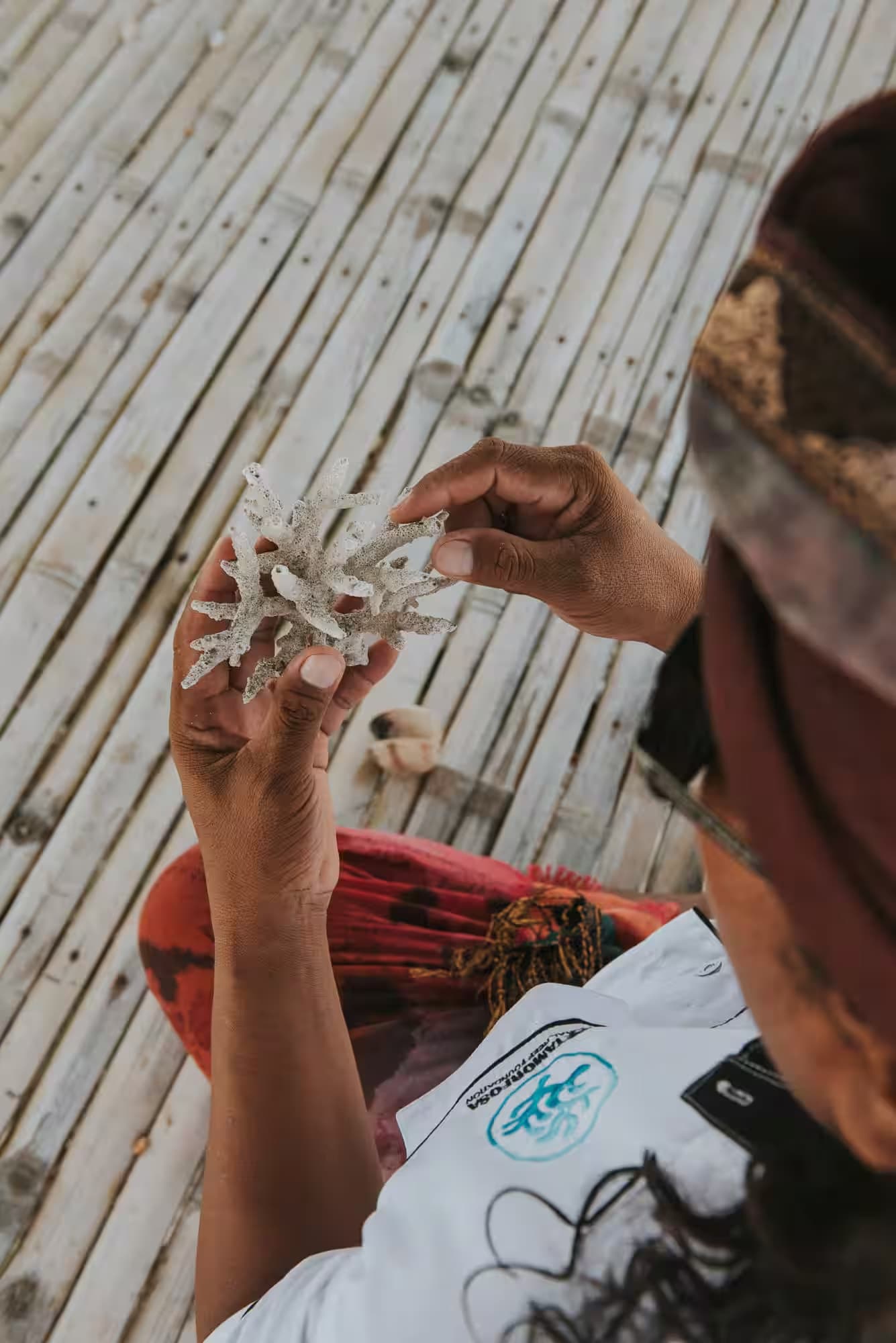 Coral planting conservation activity