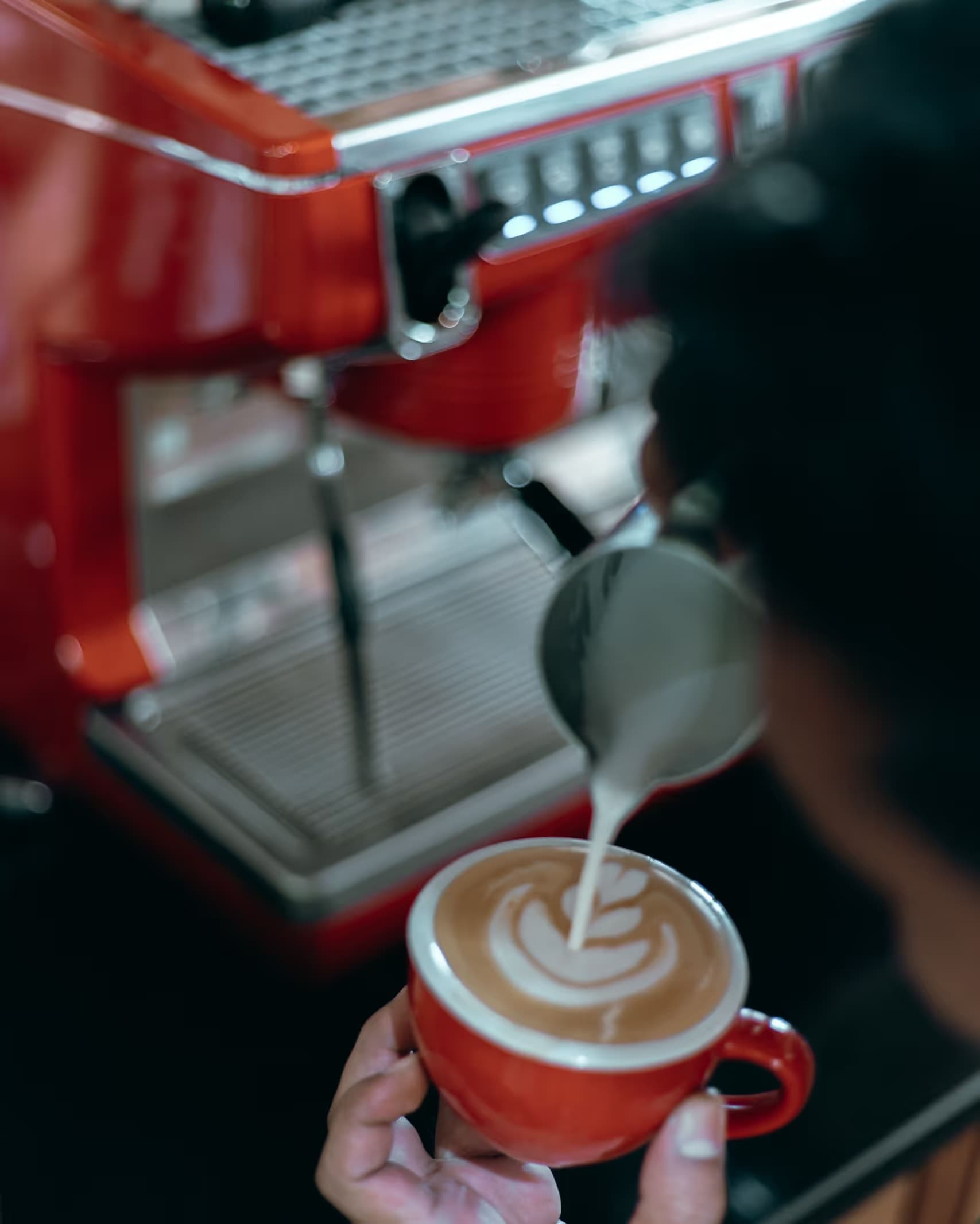 Food gallery – Latte