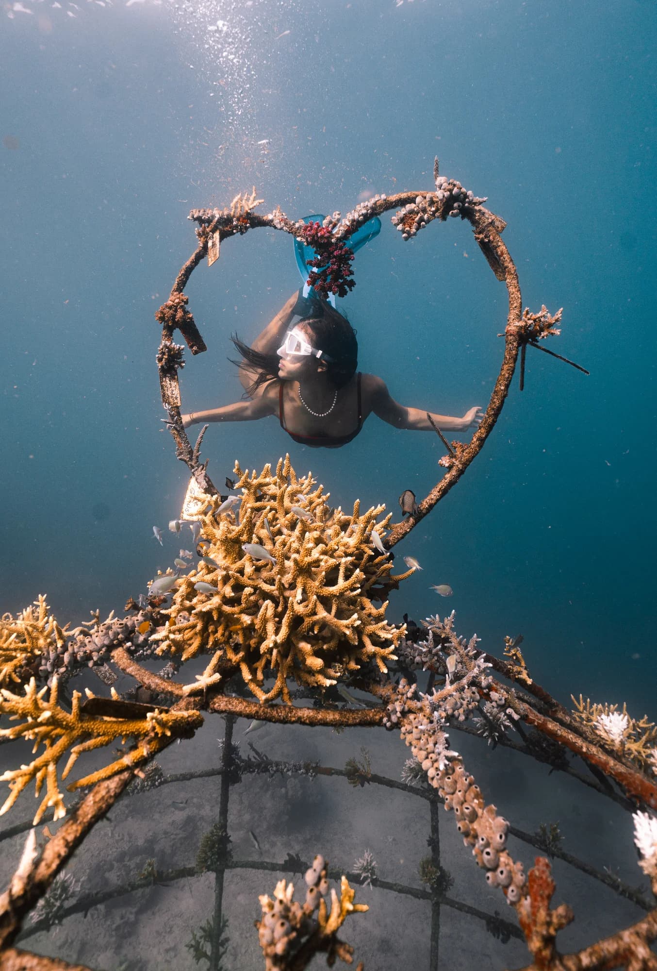 Community Engagement Activity 02 - Metamorfosa marine conservation project