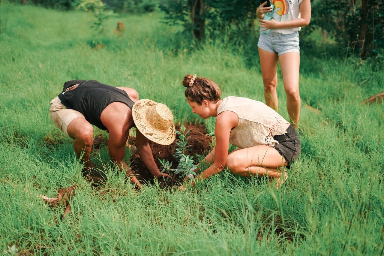 Reforestation efforts and local partnerships supporting biodiversity
