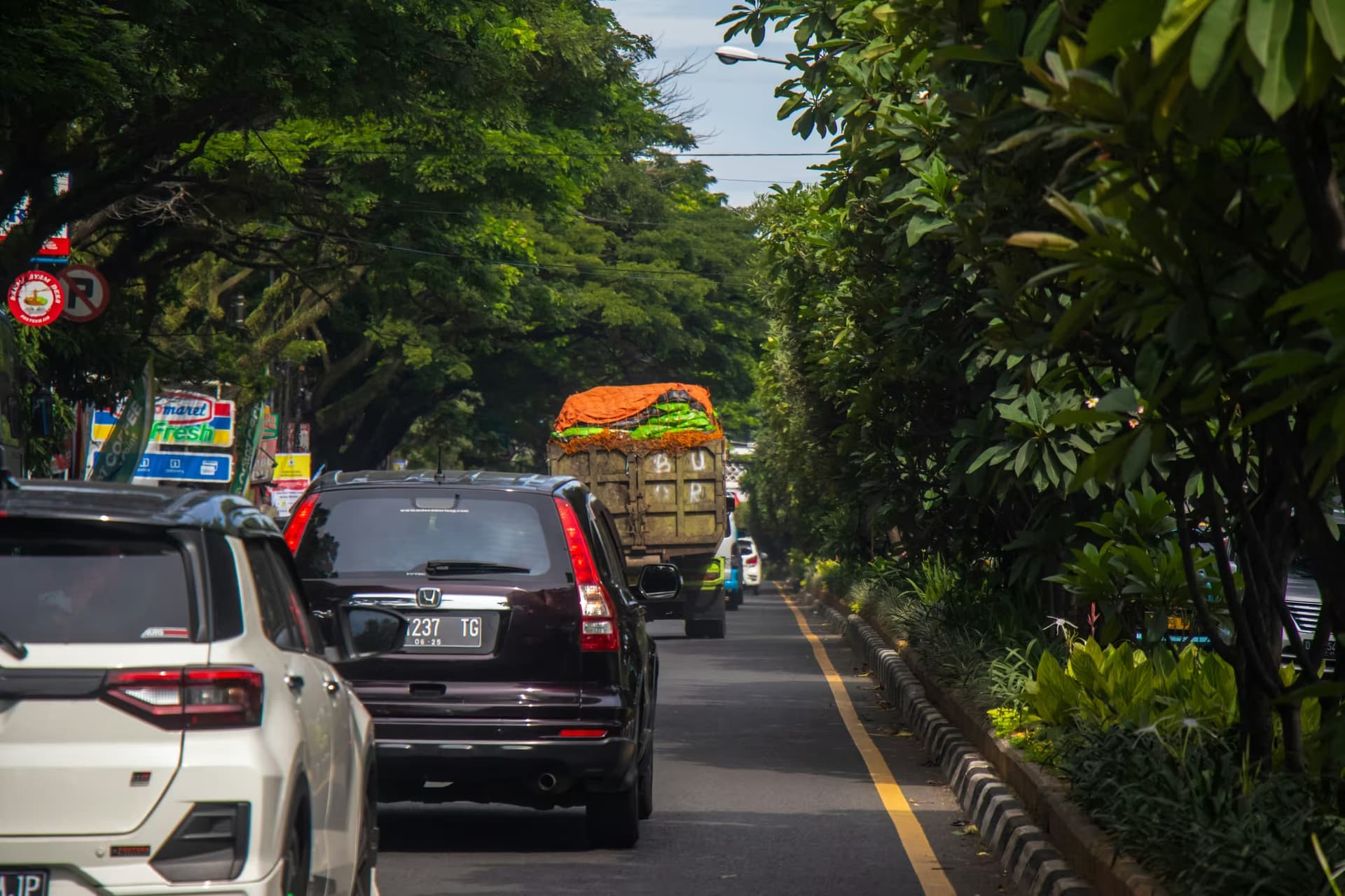 Cars driving along a tree-lined road in Bali