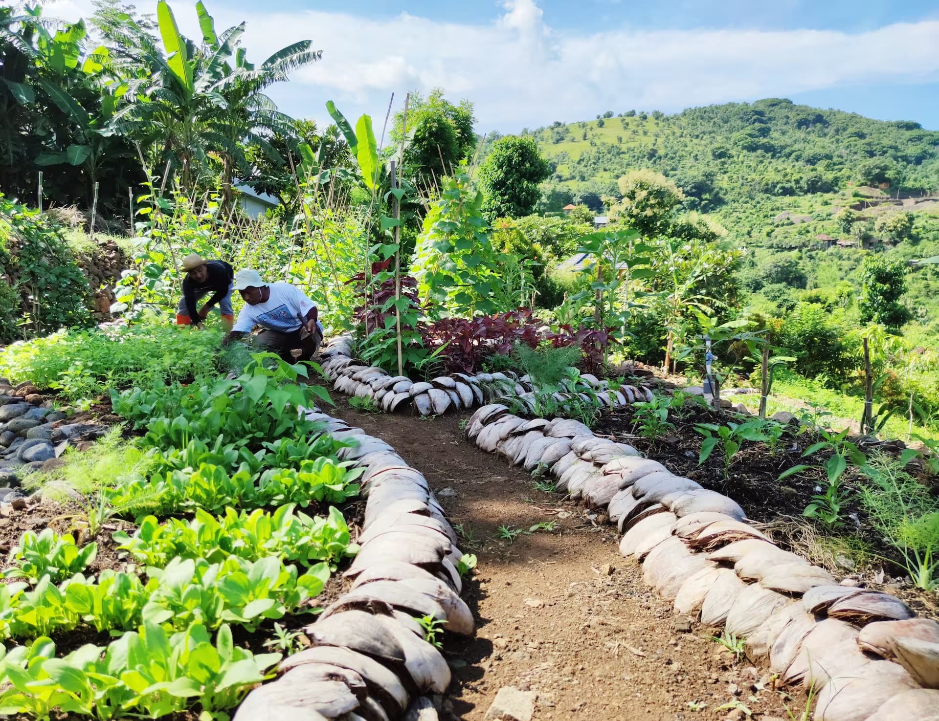 Sustainable waste management and recycling initiatives