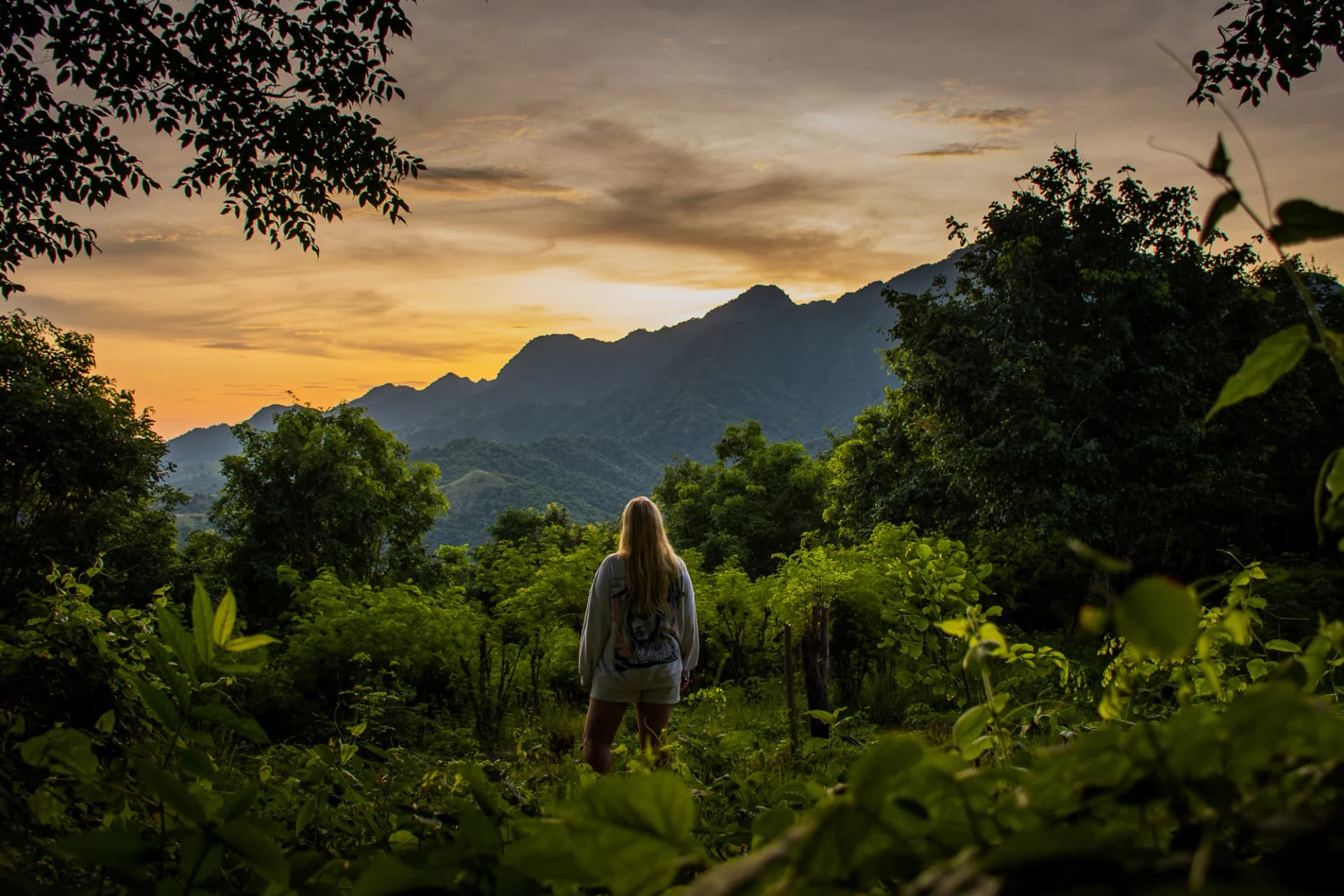 Organic farming and regenerative practices at Sumberkima