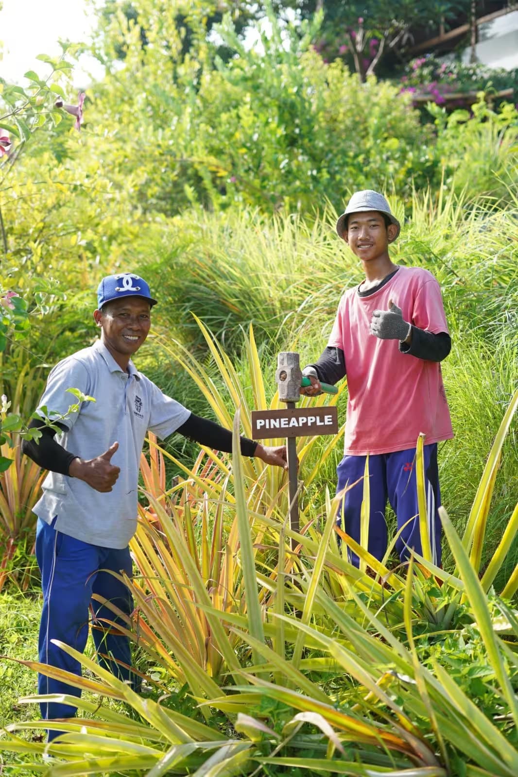 Botanical walk and organic farm