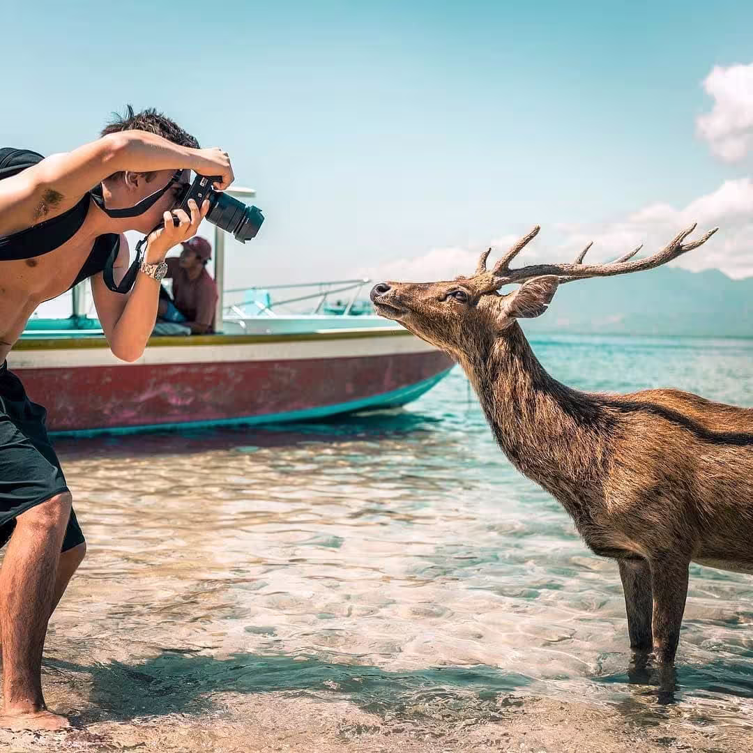 Wildlife of Menjangan and Bali Barat National Park