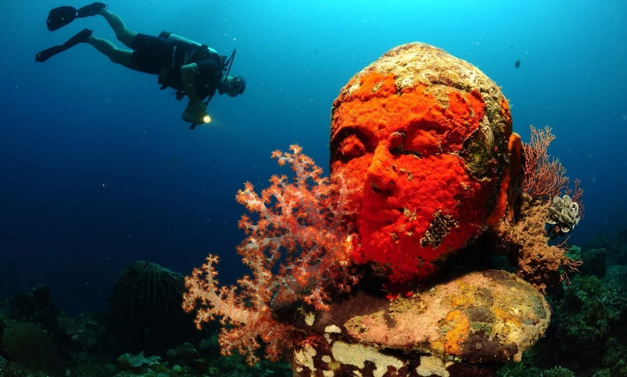 Biorock coral restoration project with healthy coral growth