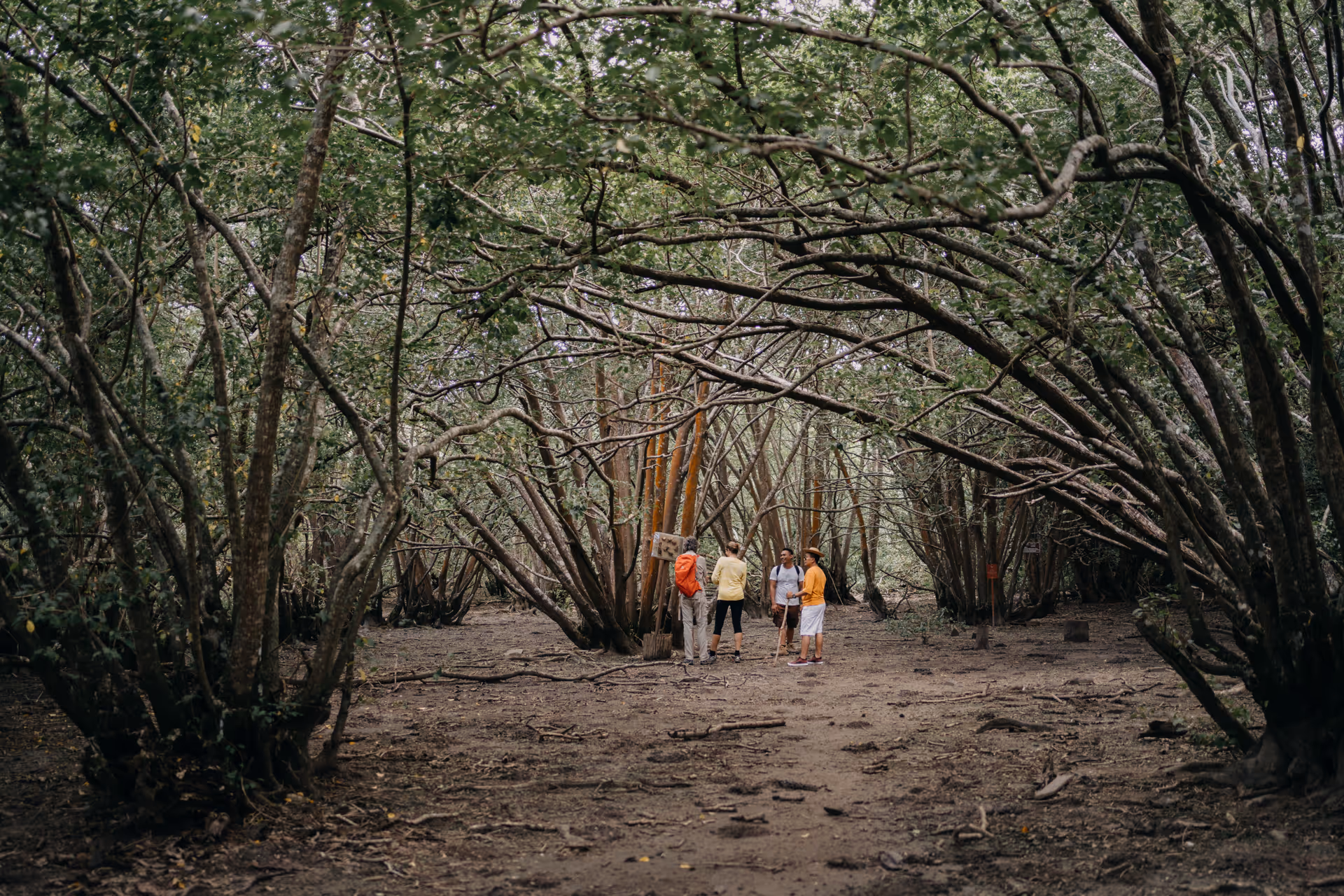 Trekking & Day Trips