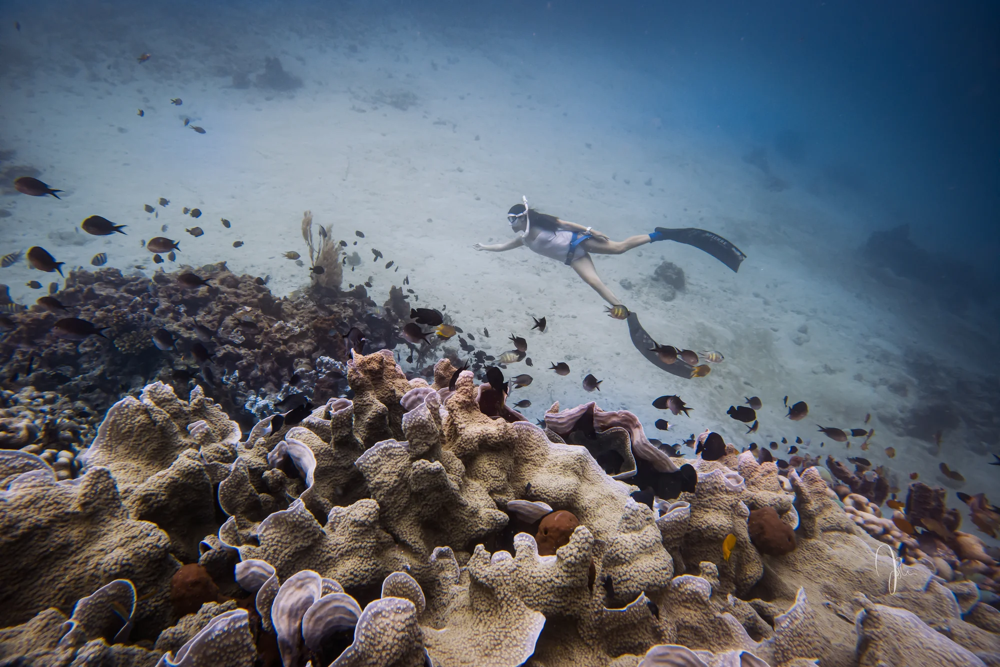Professional freediving underwater exploration