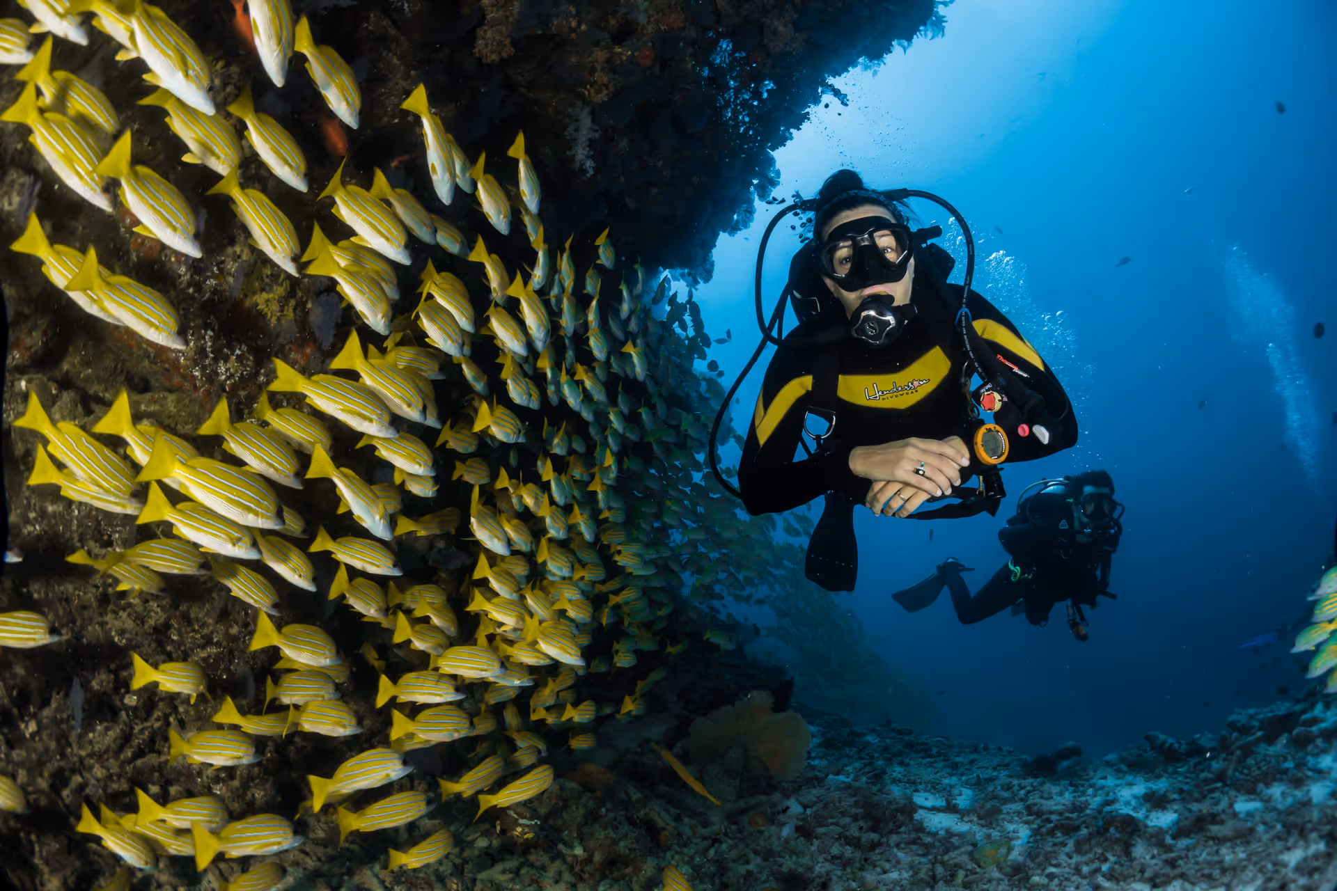 Diving & Freediving