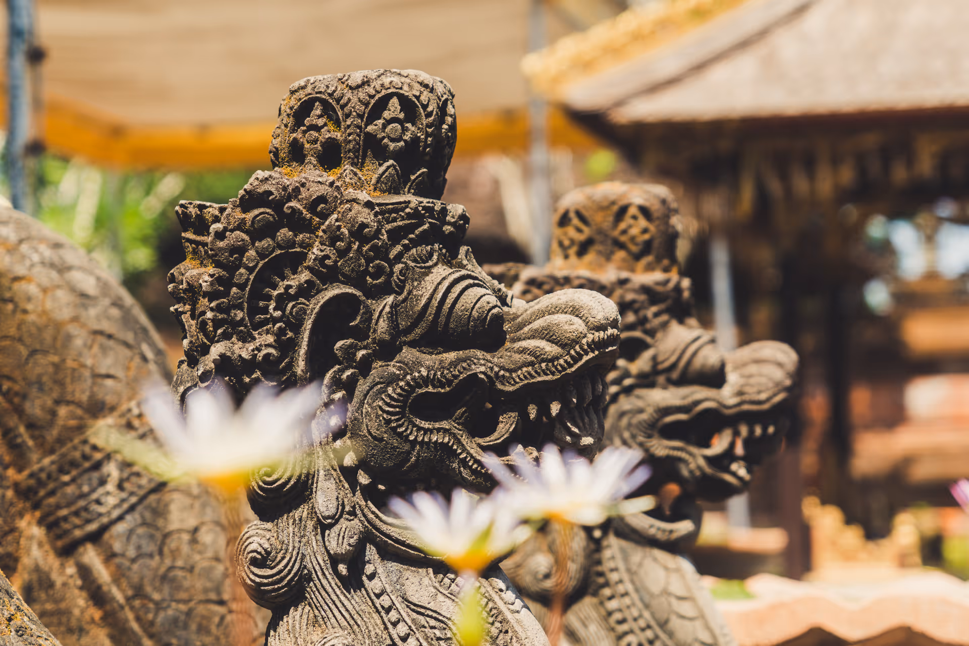 Local guide leading temple and cultural experience