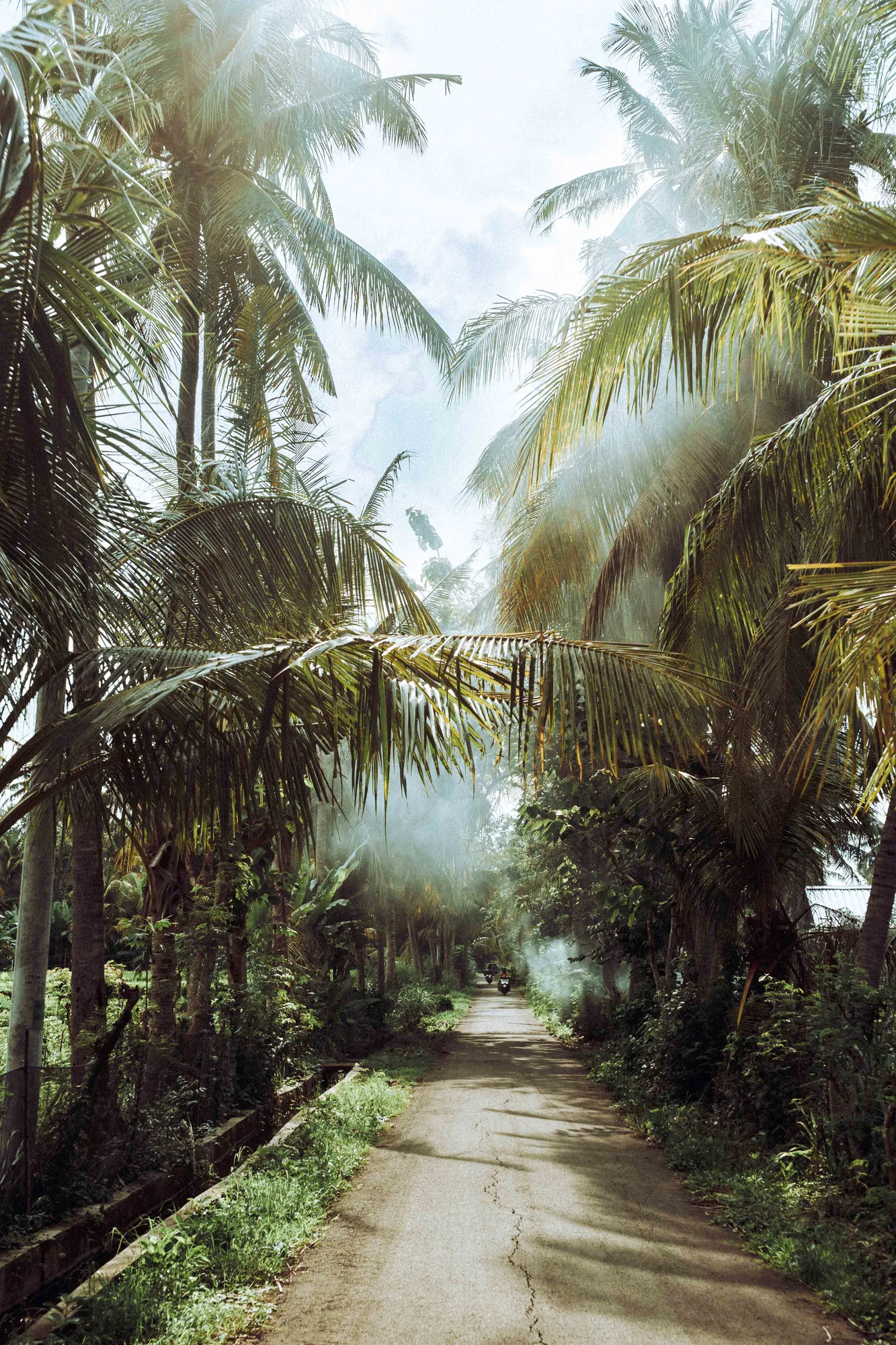 Nature & Views - dsc08415