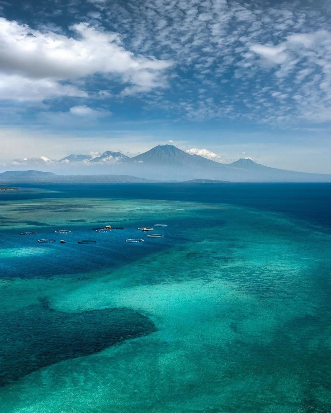 Nature & Views - metamorfosa 41