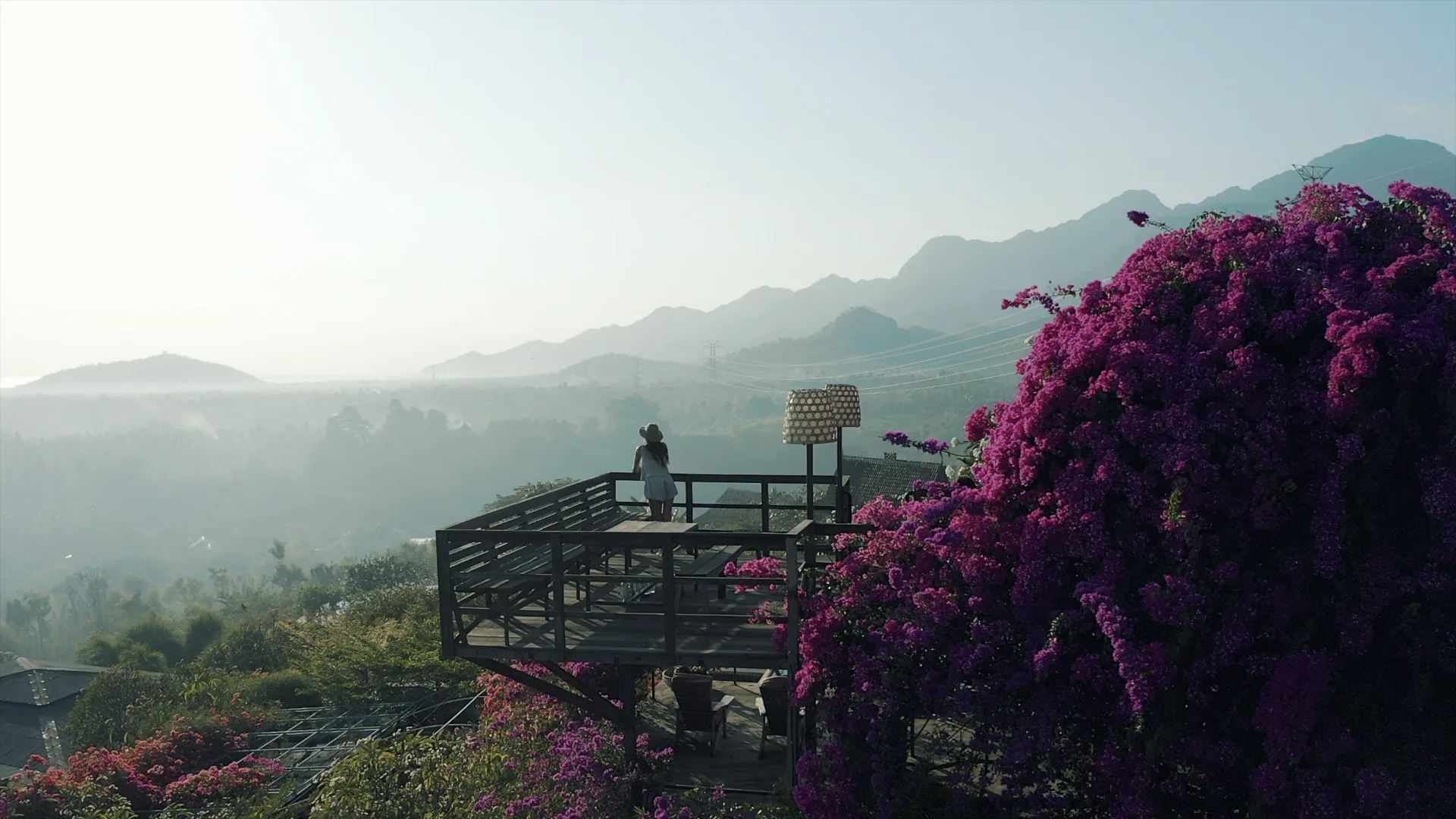 Nature & Views - picture singa