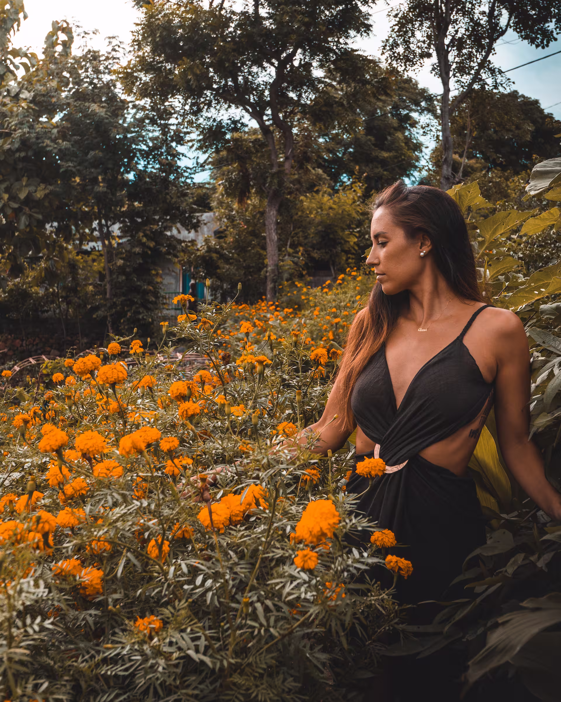 Sumberkima Hill luxury resort