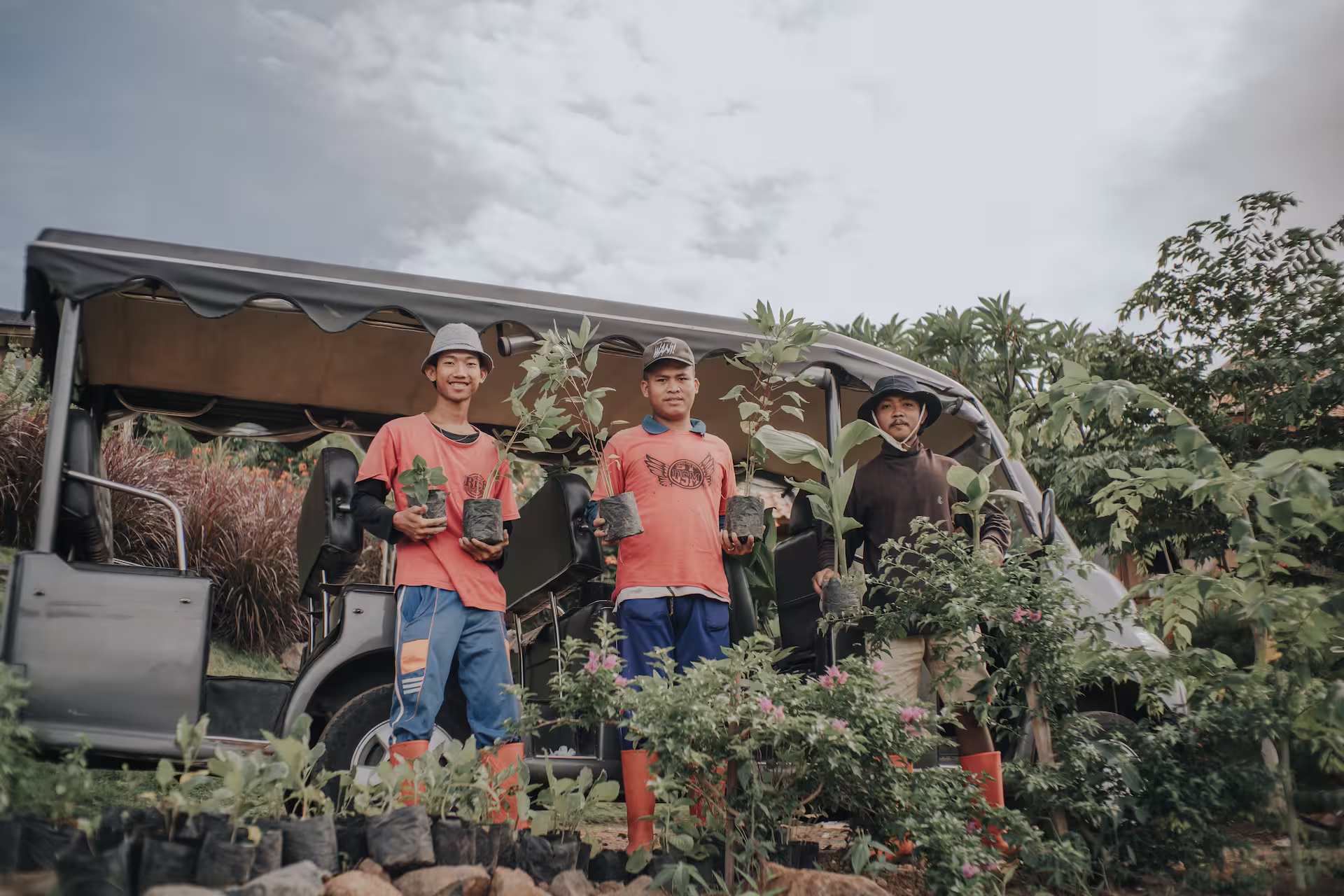 Tree saplings being planted for reforestation