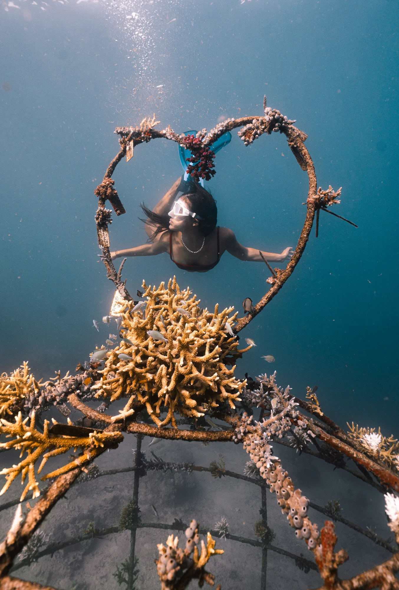 Community Engagement Activity 02 - Metamorfosa marine conservation project