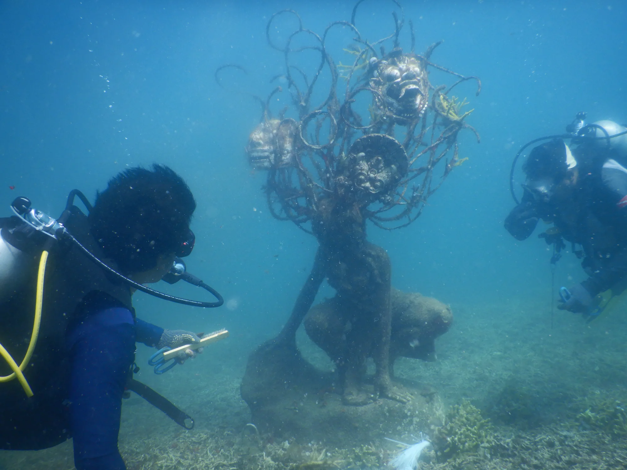 Community Engagement Activity 04 - Metamorfosa marine conservation project