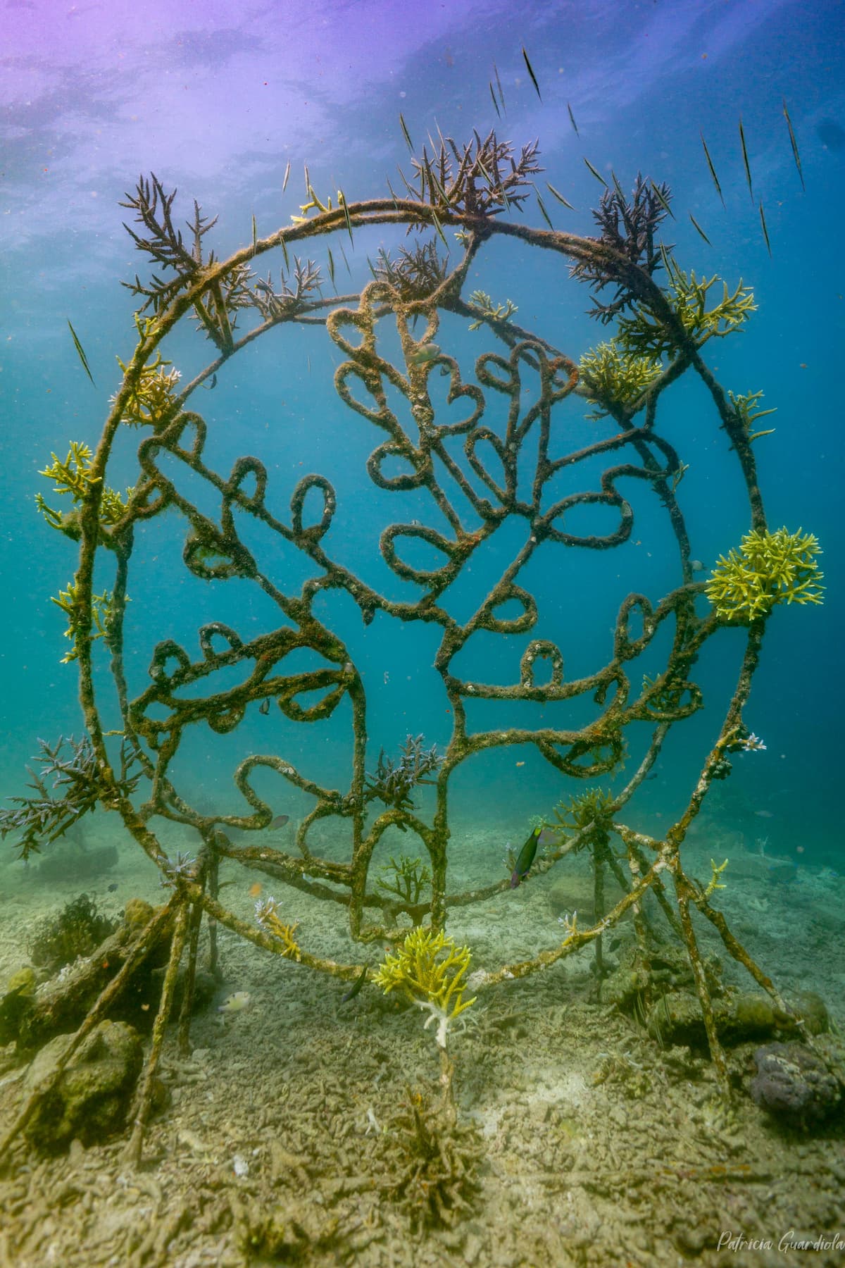 Underwater art installations serving as coral foundations