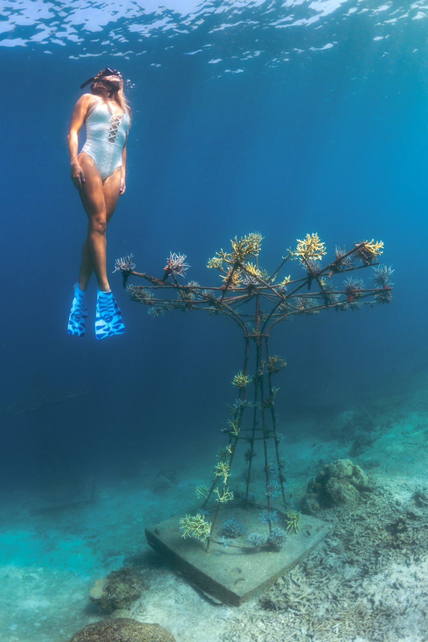 Outpost Metamorfosa - gateway to reef restoration