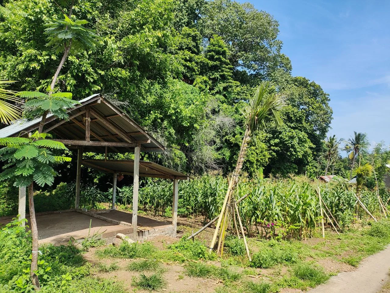 Organic farming and sustainable agriculture at Sumberkima Hill