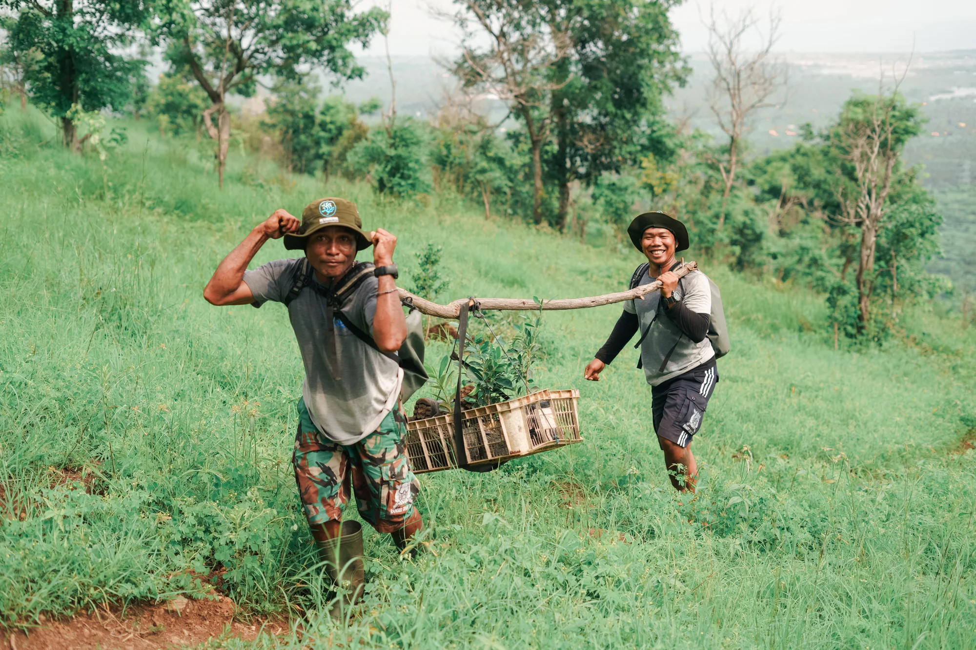 Biodiversity and companion planting in organic gardens