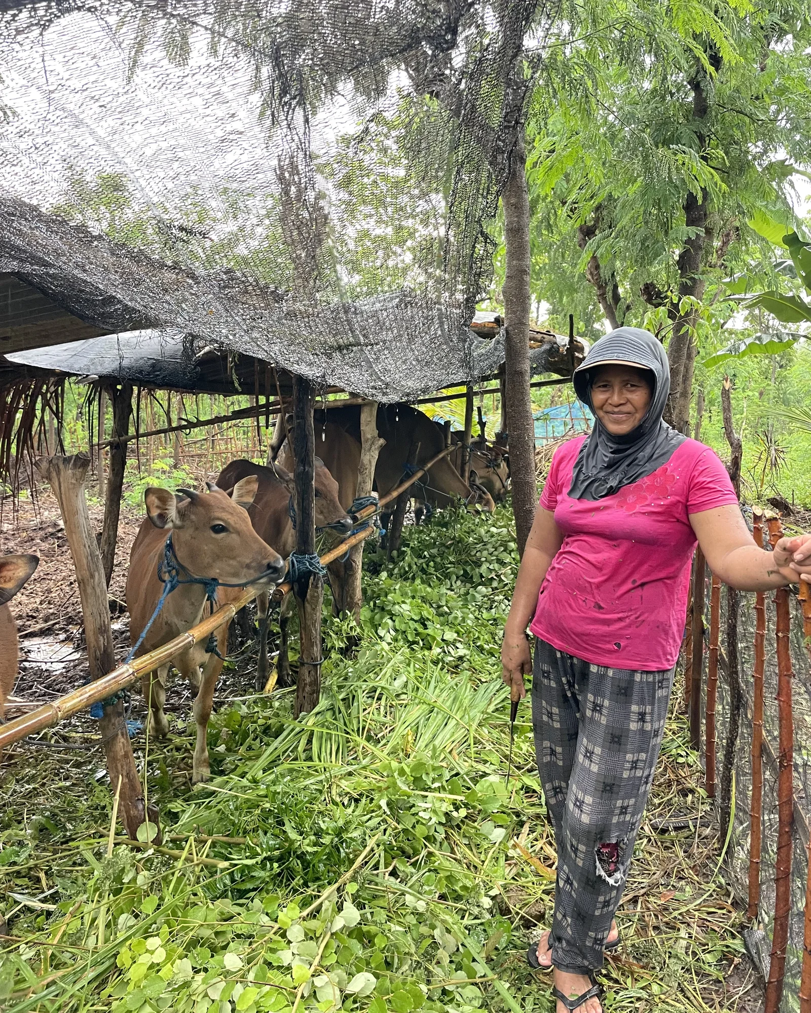 Biodiversity and companion planting in organic gardens