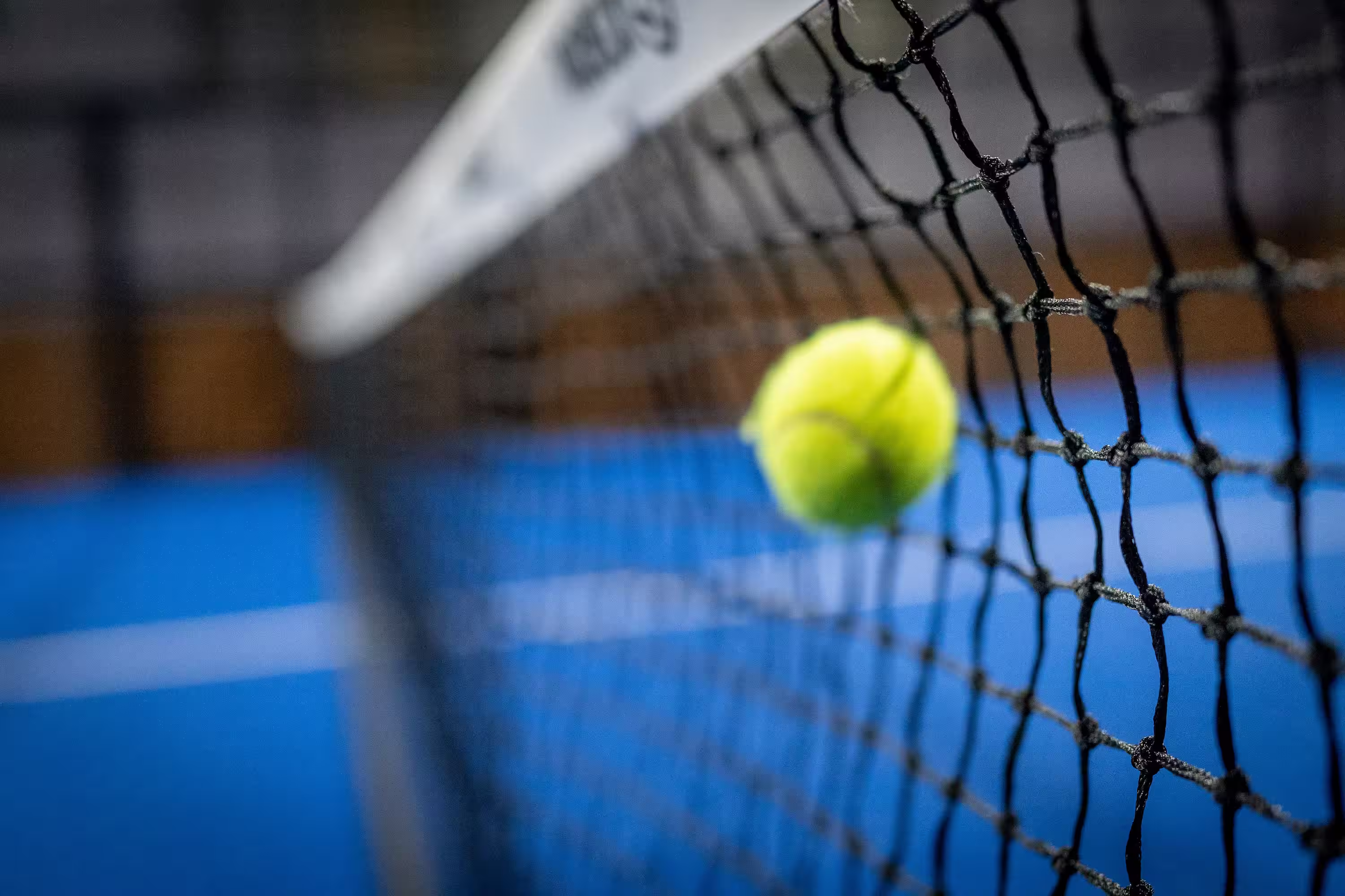 Professional padel courts available for booking