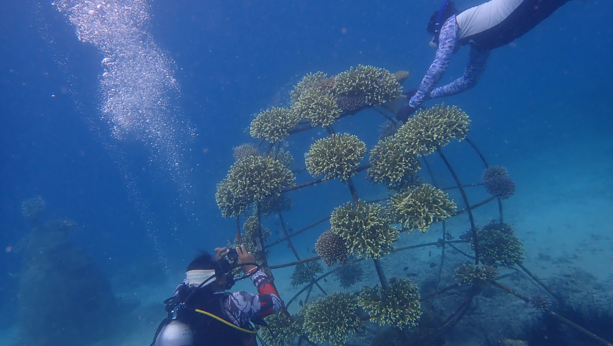 Coral restoration structures in Metamorfosa Bay