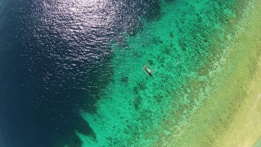 Beautiful coral reefs at Sumberkima Hill Bali