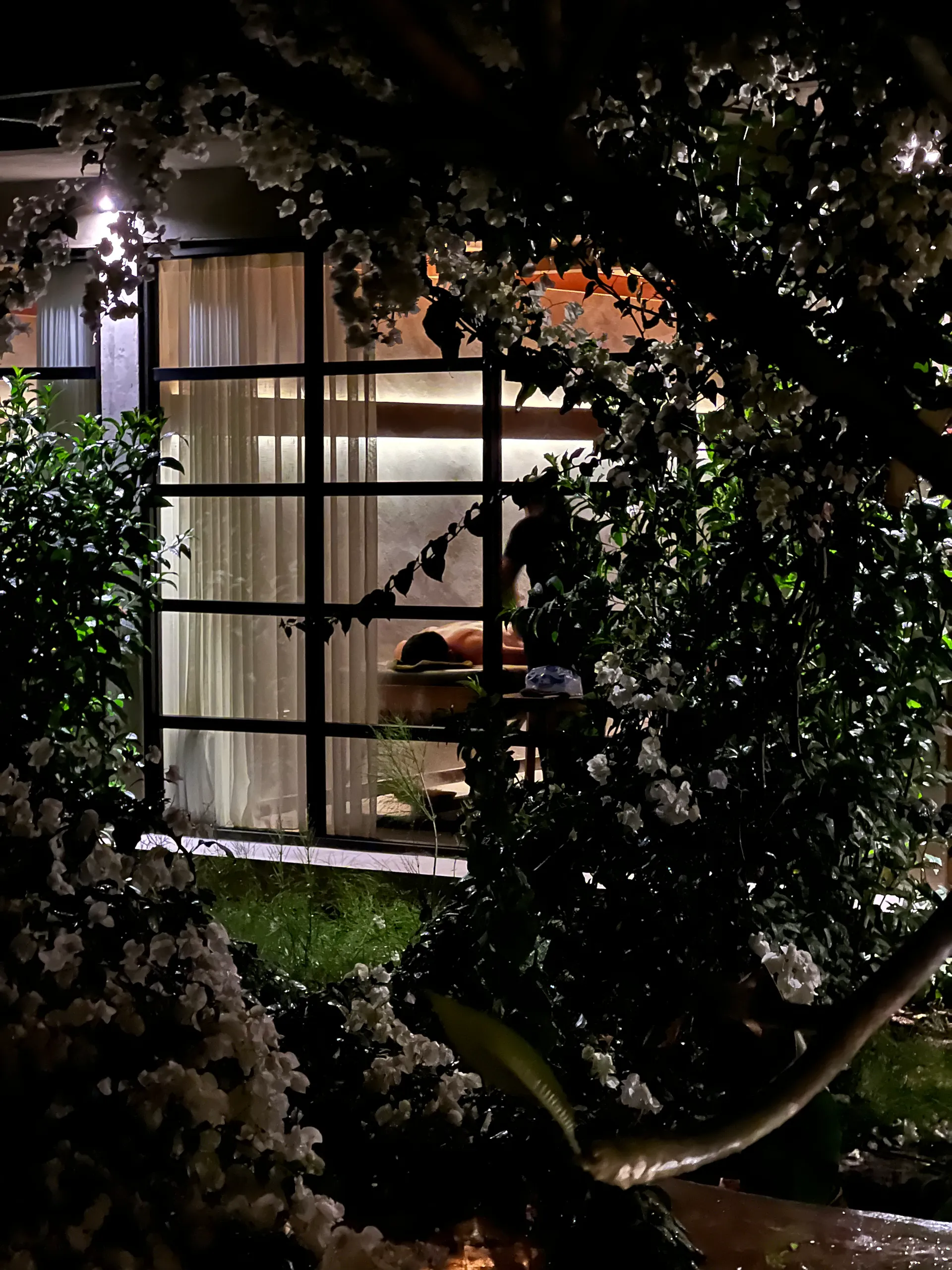 Serene spa interior with natural lighting