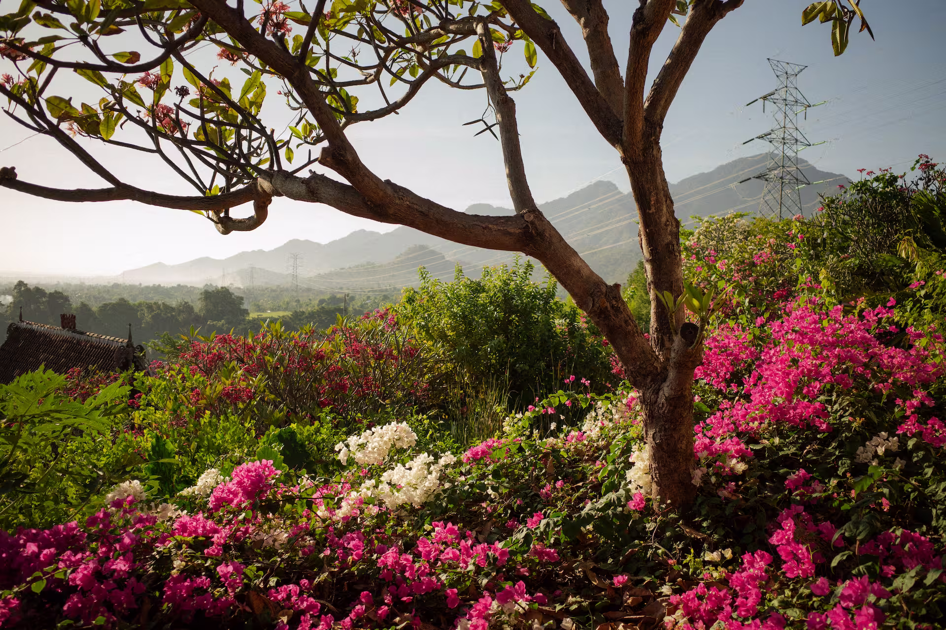 Sumberkima Hill luxury resort