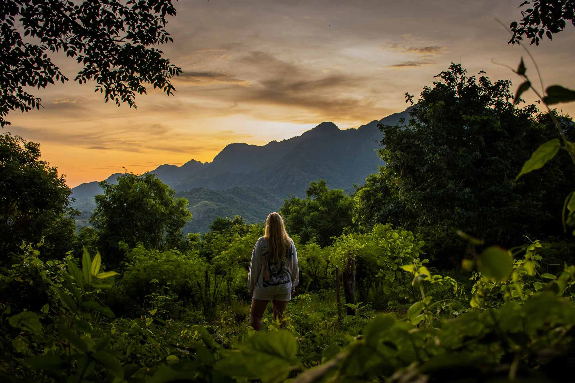 Organic farming and regenerative practices at Sumberkima