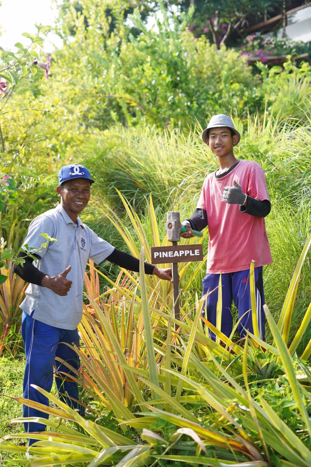 Botanical walk and organic farm